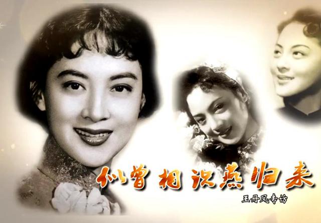 老演员王丹凤简历（大明星王丹凤被称为）(8)