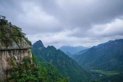 ​中秋送礼超值选特仑苏梦幻盖牛奶大促：券后10盒40元