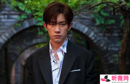 李宏毅的哥哥叫什么名字 李宏毅怎么出道的