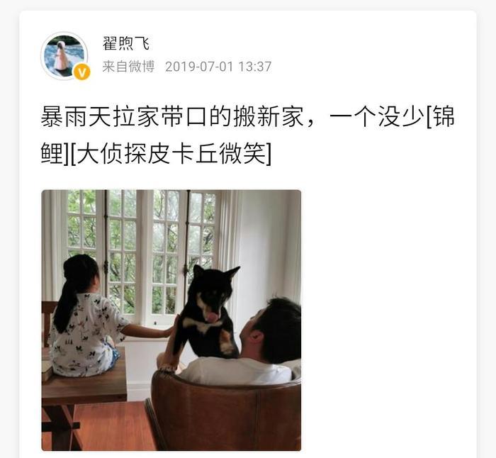 雷佳音被曝与佟丽娅出轨 妻子晒照疑似回应