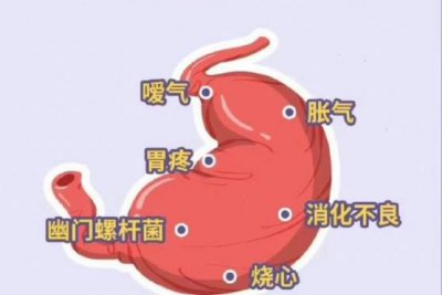 ​胃气不足该怎么办 怎么会胃气不足