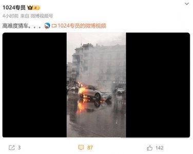 ​零跑C11电动车马路上自燃：整车被大火吞没