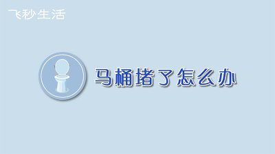 ​马桶堵了怎么办