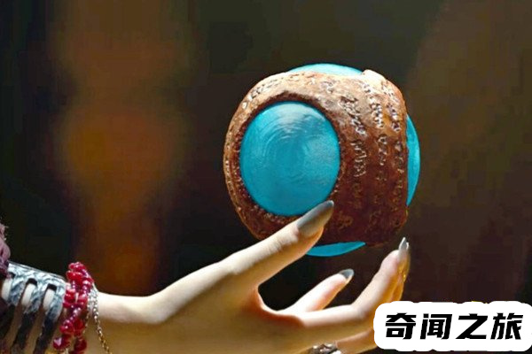 鹧鸪哨寻找雮尘珠(雮尘珠的秘密到底是什么)(4)_
