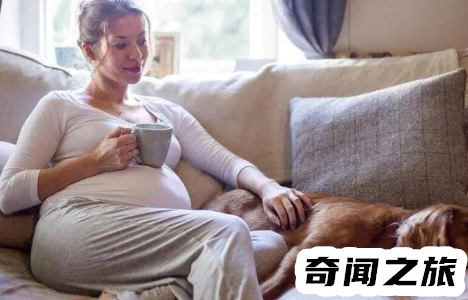怀孕一个月怎么打掉最安全（药流干净小技巧）(4)_