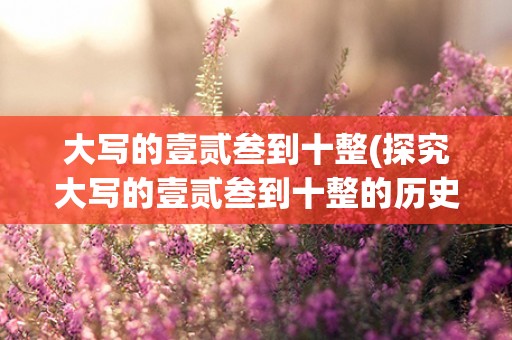 大写的壹贰叁到十整(探究大写的壹贰叁到十整的历史与意义)