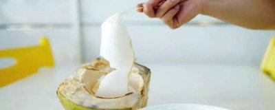 ​椰青肉的功效与作用
