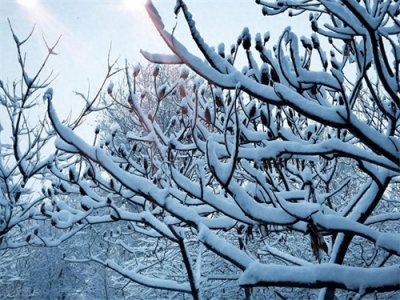 ​有哪些不提雪字，描写雪很大的诗句