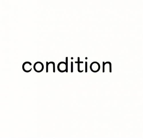 condition是什么意思-第1张图片-