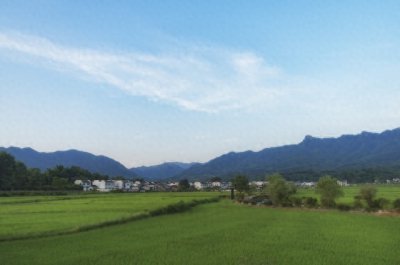 ​离婚六年了老公打电话请我帮忙
