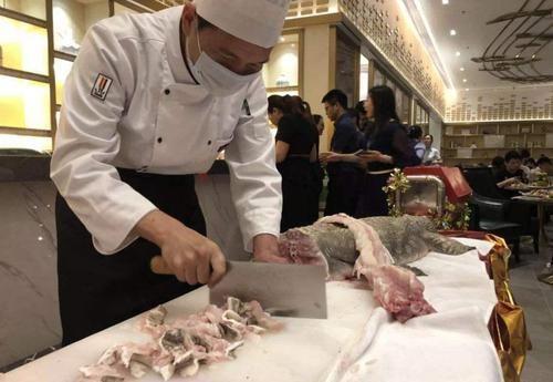 一张皮上万元，鱼肉50元一斤，人称“土龙”，如今成高档美味