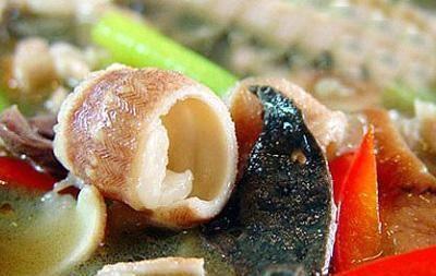 一张皮上万元，鱼肉50元一斤，人称“土龙”，如今成高档美味