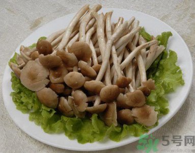​茶树菇可以生吃吗?茶树菇生吃会怎么样