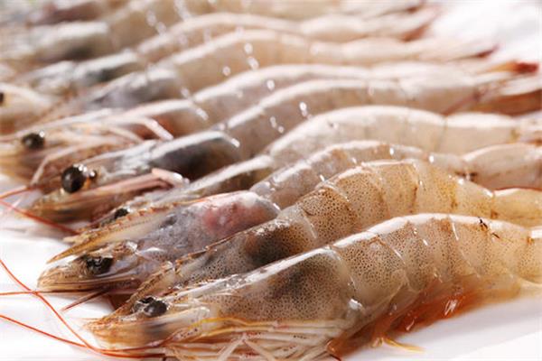 基围虾肉质不紧实是不新鲜吗 基围虾肉质松散是什么原因