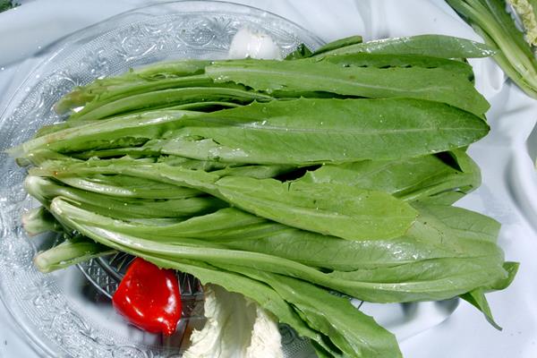 油麦菜能下火锅吗 油麦菜能做汤吃吗