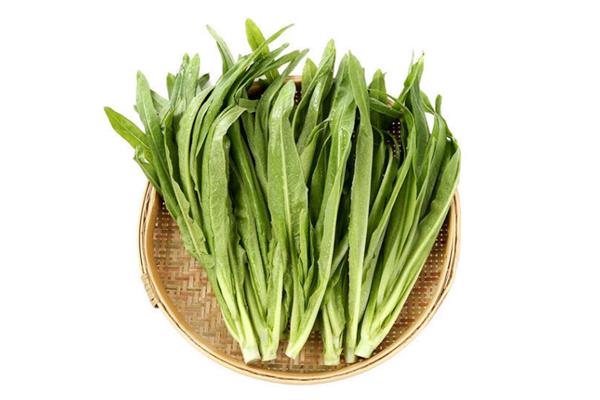 油麦菜能下火锅吗 油麦菜能做汤吃吗
