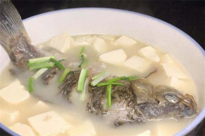 ​鲫鱼豆腐汤炖多久最好 鲫鱼豆腐汤放多少水
