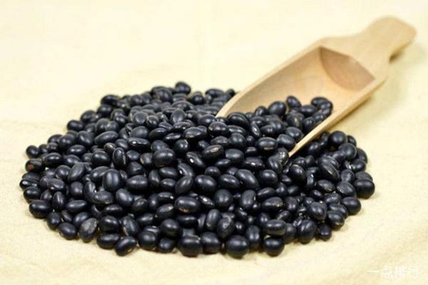 黑豆的热量是多少 黑豆吃了会长胖吗