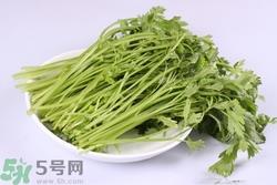 芹菜吃多了有什么坏处?芹菜吃多了有什么影响