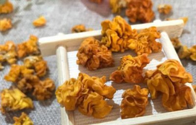 ​金耳的功效与作用，金耳和银耳的区别是什么？