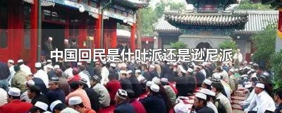 ​中国回民是什叶派还是逊尼派