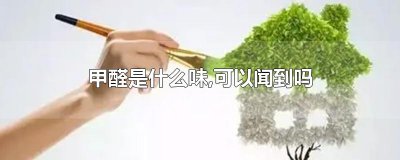 ​甲醛是什么味,可以闻到吗
