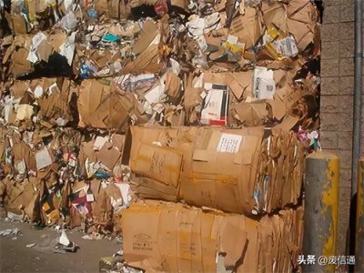 ​2024年1月11日国内废纸最新价格行情参考