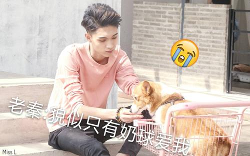 德云社秦霄贤为什么怕张云雷？秦霄贤为什么停演21天原因大揭秘