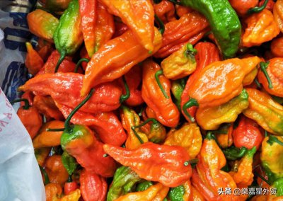 ​世界上最辣辣椒 TOP10，辣度爆表的味觉挑战，前五位最好不要挑战