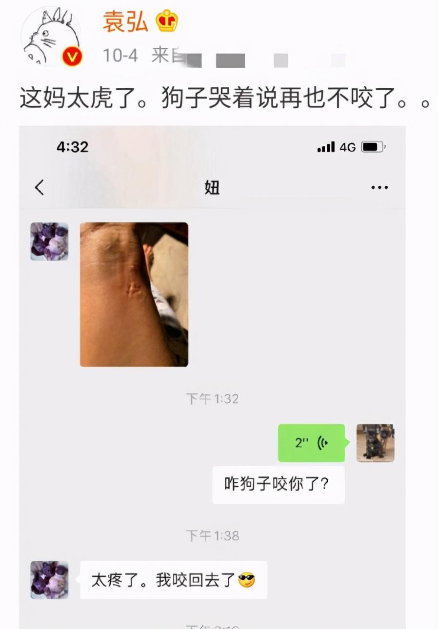 张歆艺不在家袁弘带娃！一岁半儿子身上灰不溜秋，网友：能搓出泥