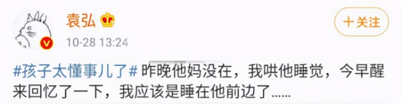 张歆艺不在家袁弘带娃！一岁半儿子身上灰不溜秋，网友：能搓出泥