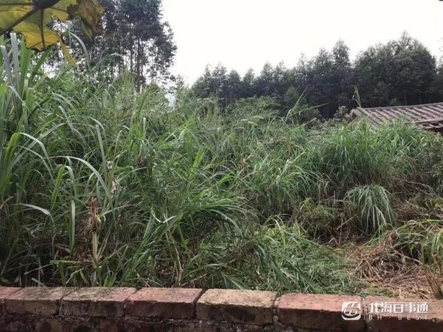 男子悬赏百万寻子（北海2岁男孩小杰家人重金寻子）(14)