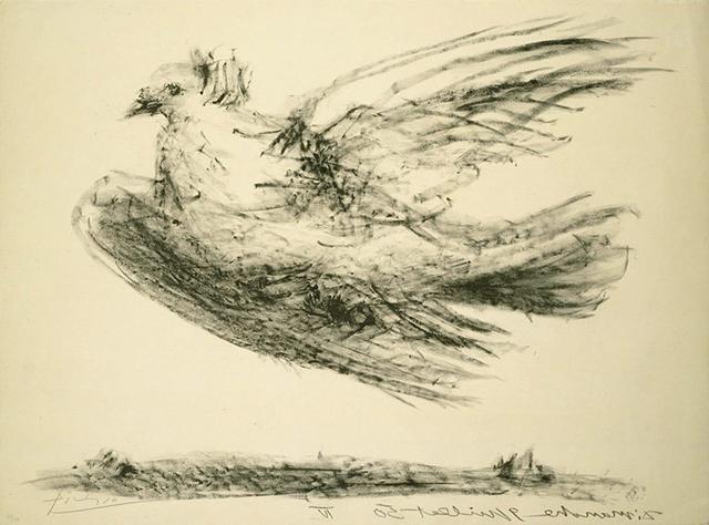 毕加索抽象画作品绿色简单的（鸽子的画作成为举世闻名的和平象征）(9)