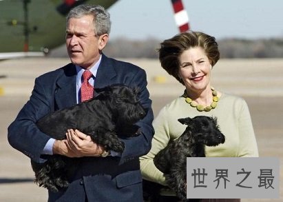 对于有生命有感情有家人的宠物，如何看待宠物安乐死