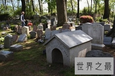 对于有生命有感情有家人的宠物，如何看待宠物安乐死