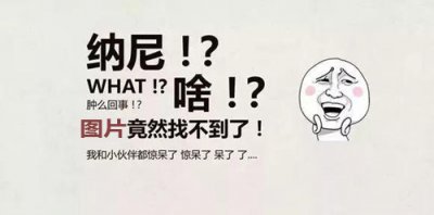 ​牛头梗犬和孙红雷合照