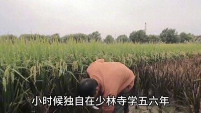 ​“草根出身”娱乐圈的明星，个个励志