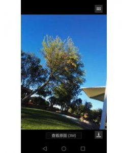 ​如何打印微信图片 想怎么打就怎么打