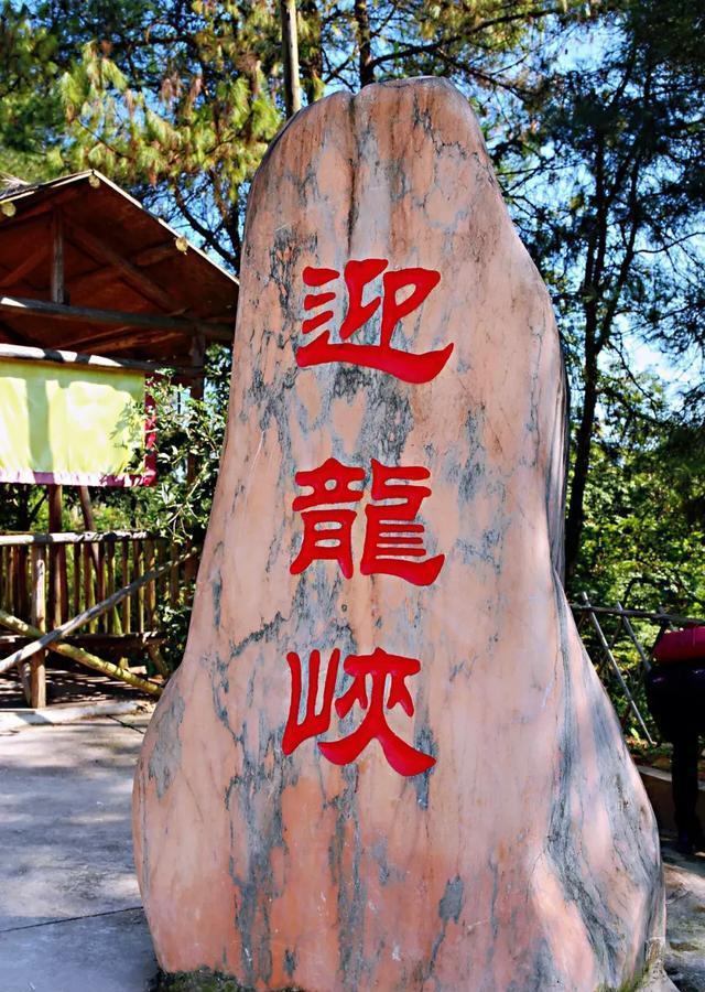 重庆首座5D玻璃桥开放！脚软！踩上会碎！