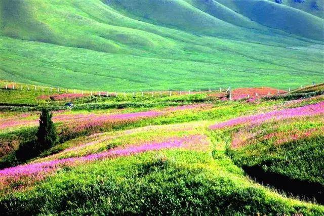 新疆竟有个地方，300年来无人涉足，景色美的无法无天！
