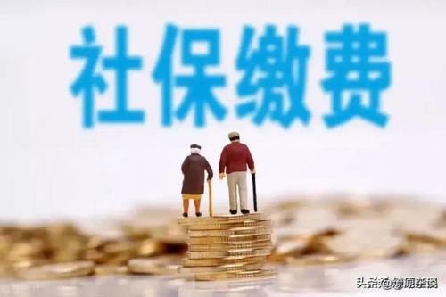 社保缴费基数什么意思(社保缴费基数怎么算出来的)-第1张图片-