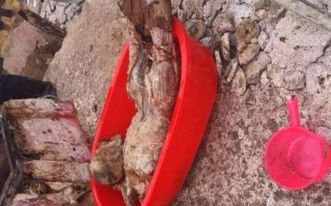 湖南鬼结婚事件（湖南湘西惊曝鬼结婚冥婚）