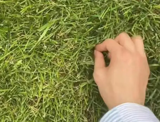 8G冲浪选手！张艺兴是懂挖呀挖的