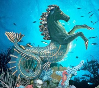 ​鲸鱼和海马哪个属于真正的鱼，鲸、海马、海豹、章鱼中哪一个是鱼类？