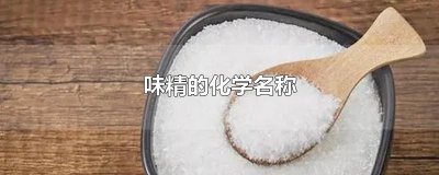 ​味精的化学名称