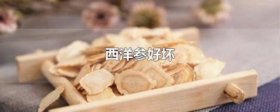 ​西洋参好坏
