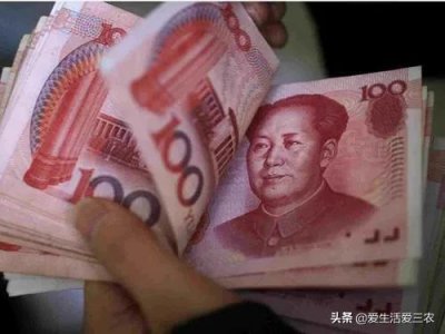 ​打工还不如种菜，这几种收益高、容易种植的蔬菜值得推荐