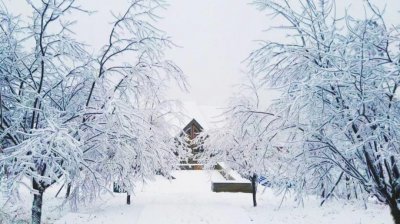 ​敲黑板！这些四川旅游信息一定要知道！