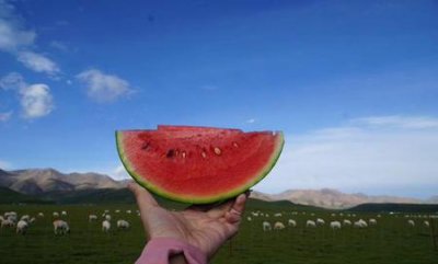 ​终于长成了小时候希望的样子(终于长成了小时候羡慕的)
