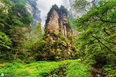 ​张家界最大的亮点在于优美景色，当地三宝葛根粉、蕨根粉、岩耳
